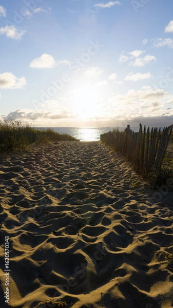Obraz Chemin vers l'océan
