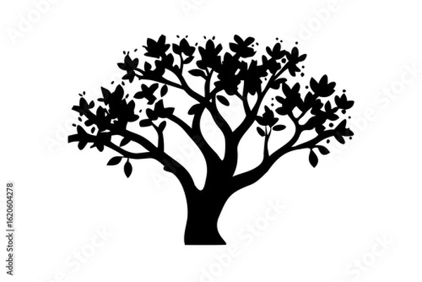 Fototapeta Banyan tree silhouette with aerial roots on white nature