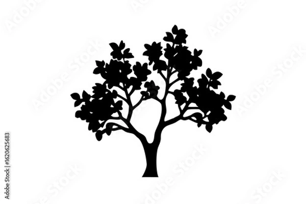 Fototapeta Dwarf quince tree silhouette with bare branches plant