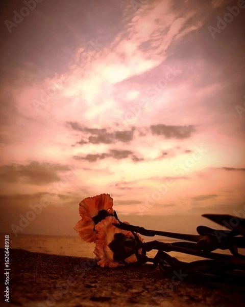 Obraz sunset on the beach