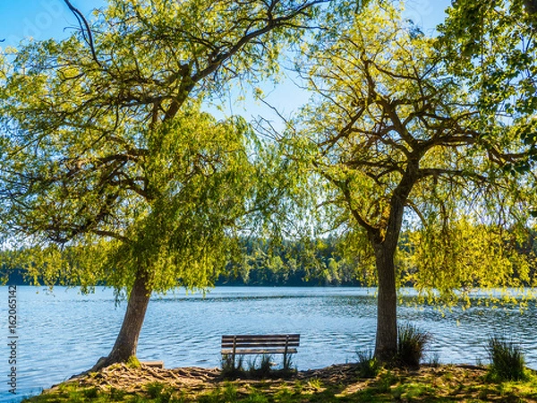 Fototapeta Bench overlooking a lake between two large trees