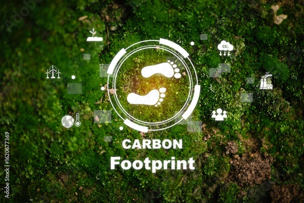 Obraz Carbon Footprint Concept with Eco-Friendly Symbols on Natural Background