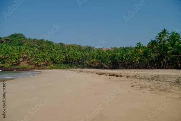 Fototapeta Hidden sand  beach with palms near Agonda beach, Goa state, India. No people