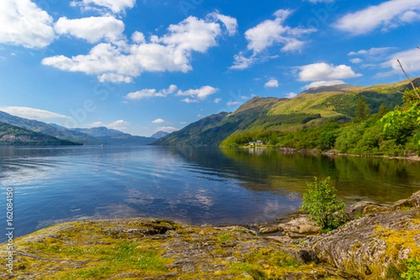 Fototapeta Loch Lomond w Rowardennan, lato w Szkocji, Wielka Brytania