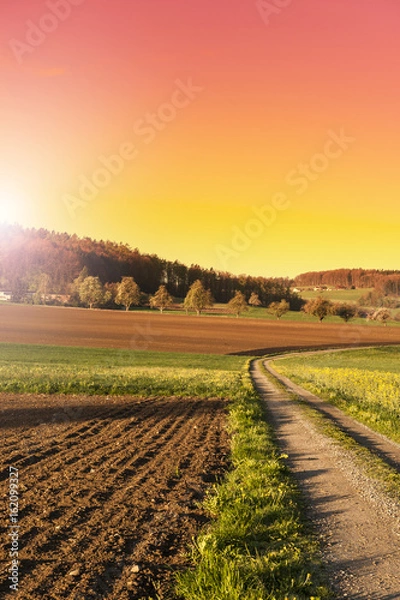 Fototapeta Arable land and pastures in Switzerland