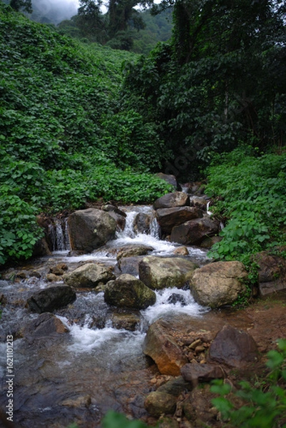 Obraz waterfall in the forest
