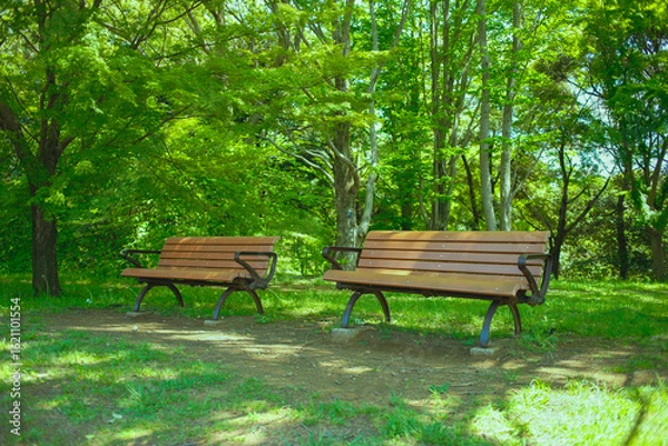 Fototapeta ベンチ　緑の公園