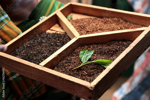 Fototapeta Tea processing in Sri Lanka

