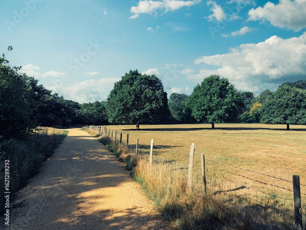 Obraz rural landscape with road