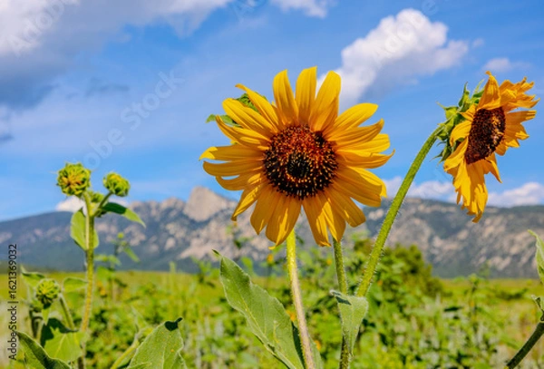 Obraz Tooth of Time Mountain Range