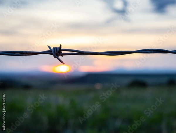 Obraz Barbed wire sunrise