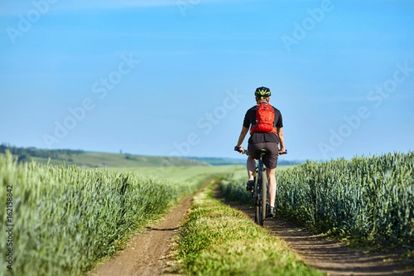 Fototapeta Rear view of the young cyclist with backpack cycling in the track of the field.