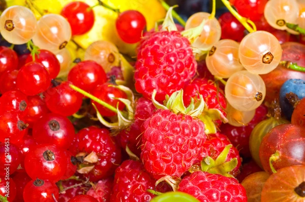 Obraz fresh fruits and berry. isolated on  white background