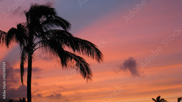 Obraz Hawai Sunset 