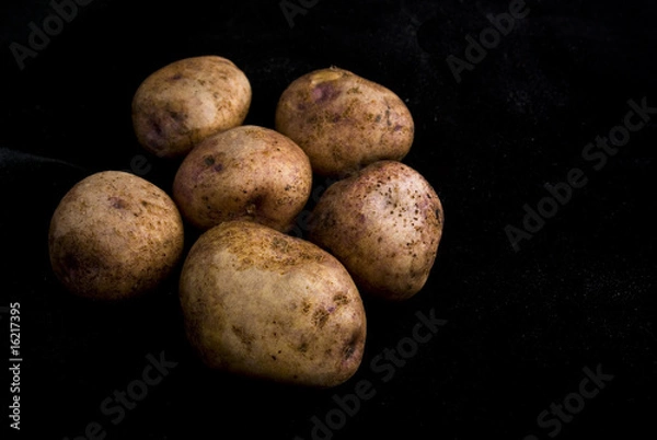 Obraz Potatoes