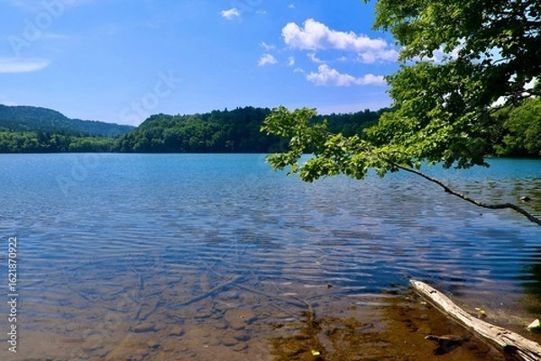 Obraz 神秘の湖  オンネトー（北海道・足寄郡足寄町）