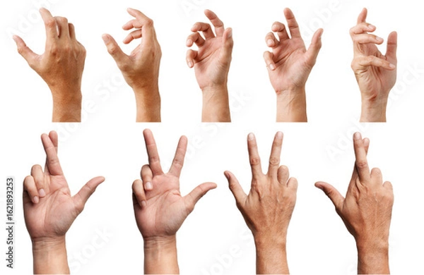 Fototapeta GROUP of Male Asian hand gestures isolated over the white background. Soft Grab Action. Touch Action.