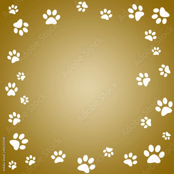 Obraz Paw print frame