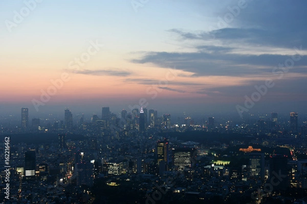 Obraz 日本の東京都市景観・夜景（東京・新宿の高層ビル群）