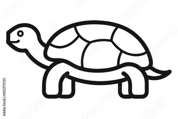 Fototapeta Solid color Tortoise animal vector design