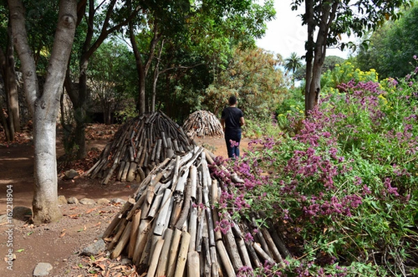 Obraz Icod de los vinos