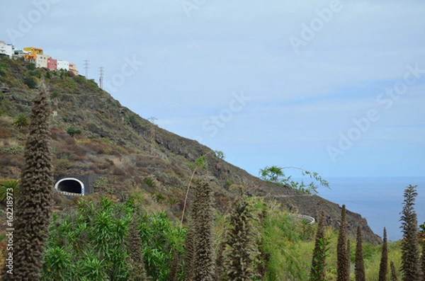 Obraz Icod de los vinos