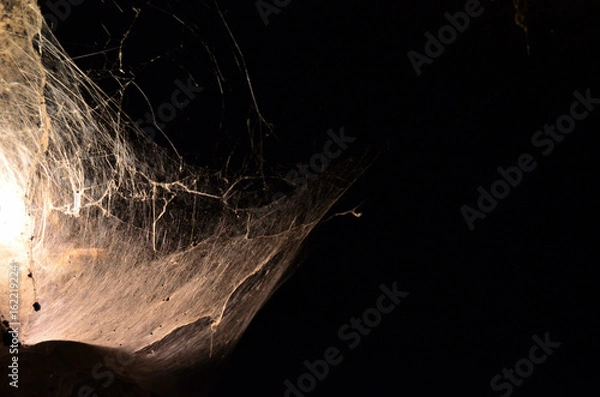 Obraz Tenerife norte