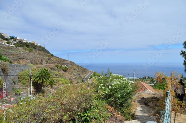 Obraz Icod de los vinos