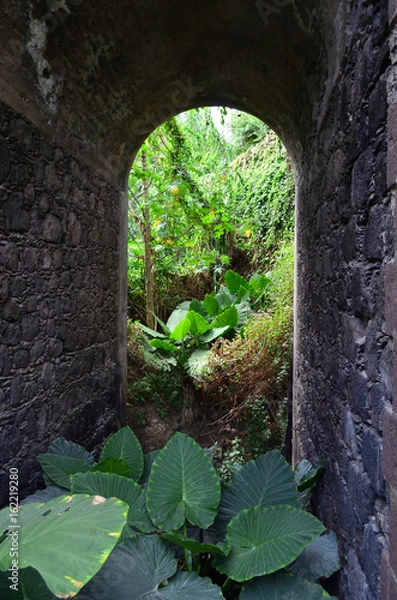 Obraz Icod de los vinos