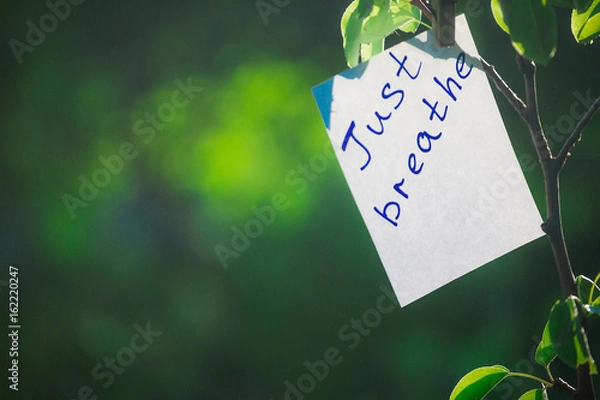 Fototapeta Motivating phrase just breathe. On a green background on a branch is a white paper with a motivating phrase.