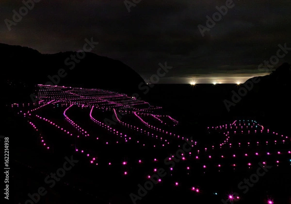 Fototapeta 夜に煌めく棚田