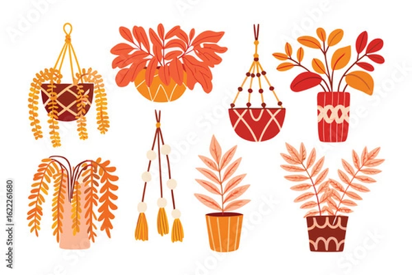 Fototapeta Bohemian Plant Display: A vibrant assortment of hand-drawn potted plants and hanging planters, showcasing a touch of bohemian charm with detailed illustrations of lush foliage.