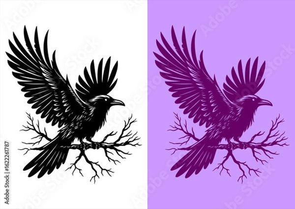 Obraz Black and White Ink Illustration of a Raven with Wings Spread on a Bare Tree Branch