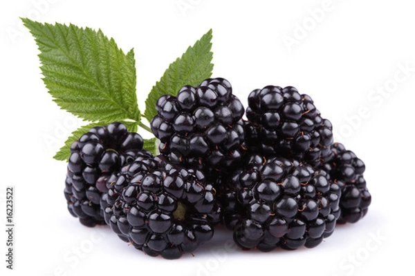 Obraz Blackberry