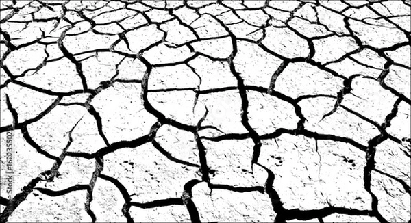Fototapeta dry cracks