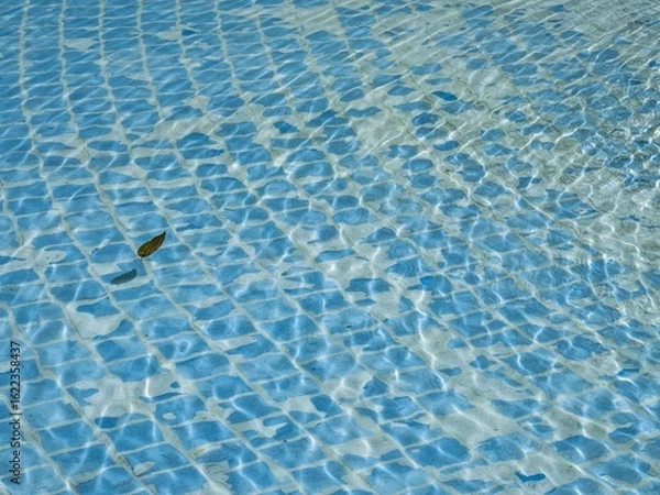 Obraz 夏の青いタイルが敷き詰められた池に浮かぶ涼し気な木の葉と波紋