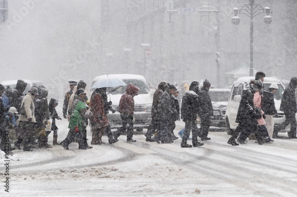 Obraz 吹雪の中を歩く