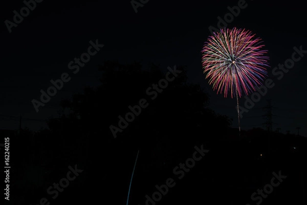 Fototapeta 花火大会