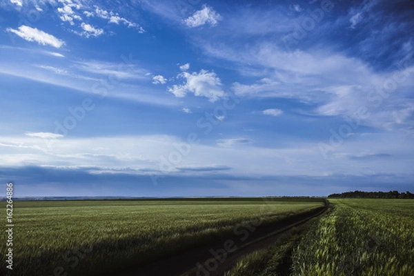 Fototapeta Skyscape in the field