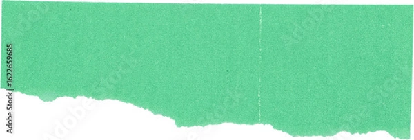 Obraz Torn green paper texture isolated on white background for creative design and art projects