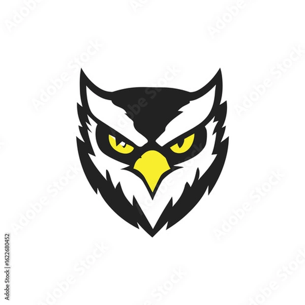Obraz owl on white background