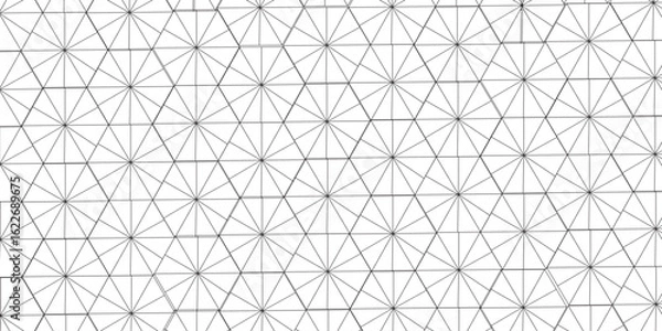 Fototapeta A beautiful Chaotic abstract line seamless pattern .Technology black illustration . Connected lines with dots .graphic background dots with connections for your design, illustration	