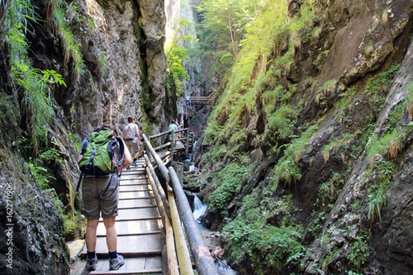 Obraz Dr Vogelgesang Klamm
