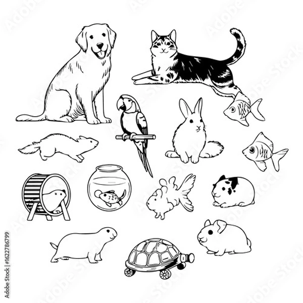 Fototapeta Collection of diverse domestic pets including dog cat parrot rabbit hamster guinea pig fish and turtle illustrated in black and white