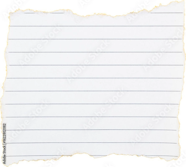 Obraz Torn lined notebook paper sheet with empty space for writing notes or reminders isolated on white transparent background