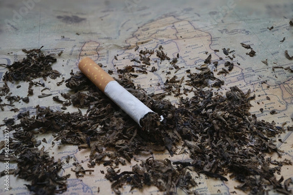 Fototapeta Cigarette lies on vintage map surrounded by scattered tobacco, symbolizing impact of smoking on global health. image evokes sense of urgency and awareness