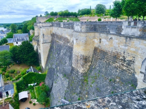 Obraz Vue sur les remparts et les jardins du Château d'Amboise surplombant la Loire.