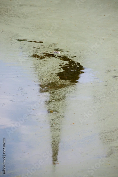 Fototapeta The reflection of a pagoda in the lotus pond.