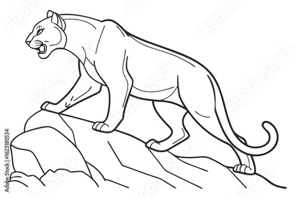 Fototapeta coloring page line art the puma black vector