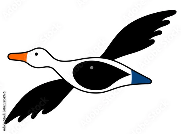 Obraz Mallard in flight. Vector image